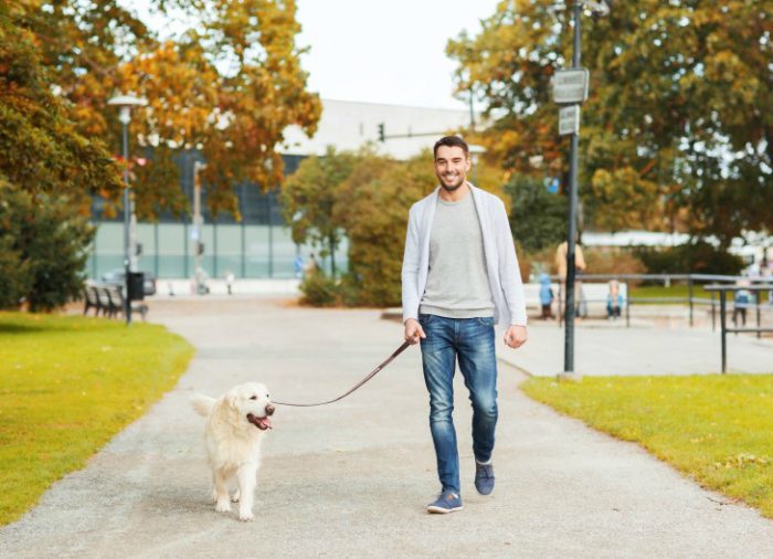 Flexible Dog Walking Services in NYC
