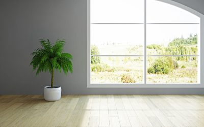 Upgrade Your Home With Custom Glass Shower Doors in North Little Rock, AR