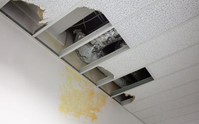 Prevent Lasting Issues Through Emergency Water Damage Cleanup in Downers Grove, IL