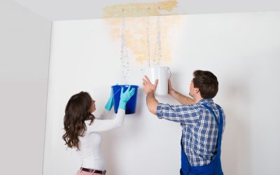 Protect Your Home from Mold with Water Damage Restoration in Downers Grove, IL